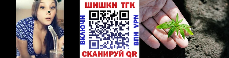 купить наркотики сайты  Барыш  Шишки марихуана ГИДРОПОН 